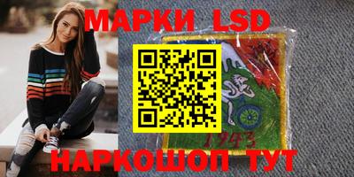 Альфа ПВП Донецк