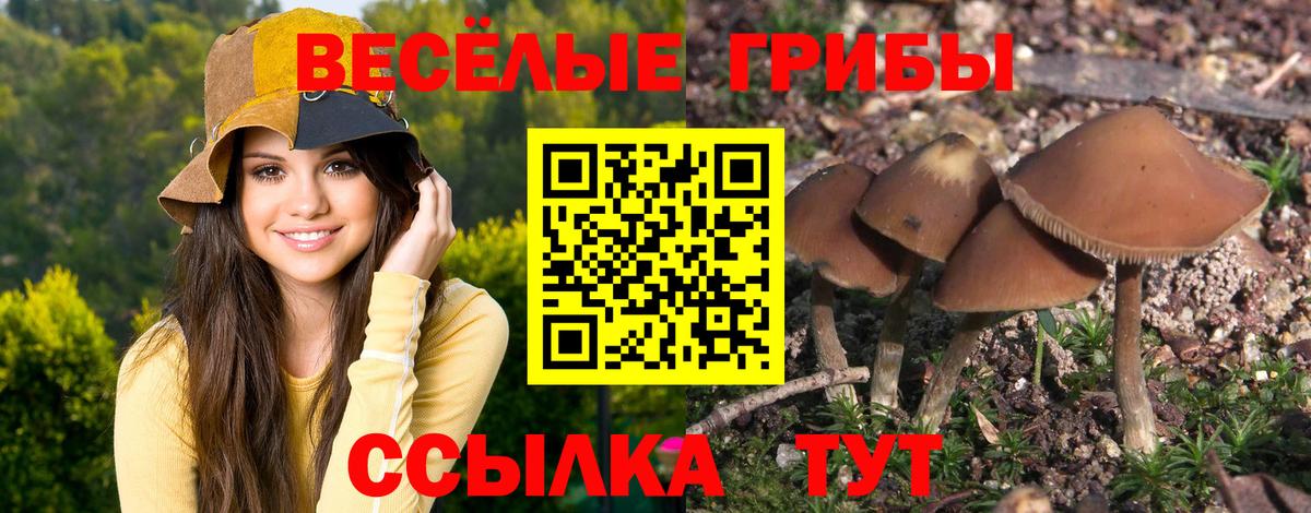 Псилоцибиновые грибы Cubensis Лабытнанги